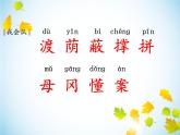 人教部编二年级语文下册   第四单元   9 枫树上的喜鹊 课件1