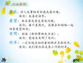人教部编二年级语文下册   第四单元   9 枫树上的喜鹊 课件 2
