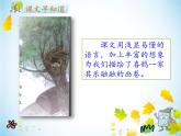 人教部编二年级语文下册   第四单元   9 枫树上的喜鹊 课件 2