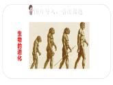 人教(部编)版语文五年级下册23 童年的发现教学课件