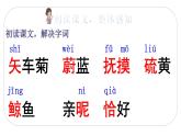 人教(部编)版语文四年级下册28 海的女儿教学课件