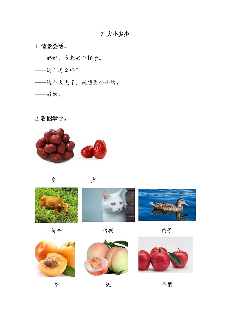部编小学语文 第五单元（识字第6-10课）教学资源教案第3页