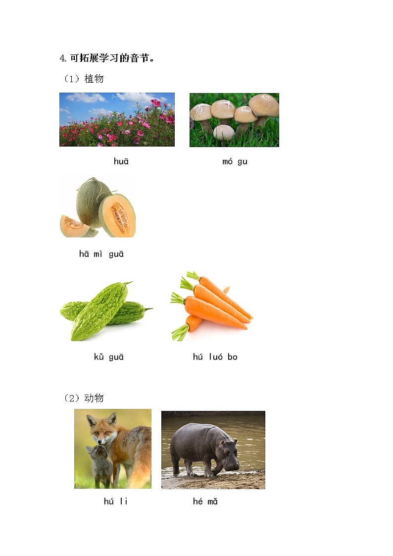 部编小学语文 第二单元（拼音第5-8课）教学资源教案03