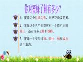 三年级下册蜜蜂课件