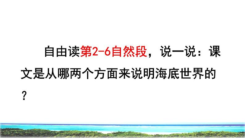 23 海底世界 品读释疑课件第6页