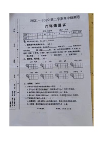 山东省济宁市金乡县2021-2022六年级下学期期中语文试题（无答案）