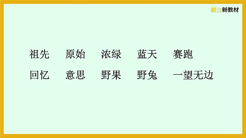 23   祖先的摇篮课件PPT第5页