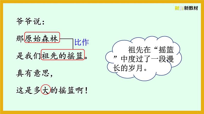 23   祖先的摇篮课件PPT第7页