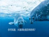部编版《海底世界》课件PPT