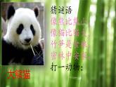 部编版《习作：国宝大熊猫 》课件PPT