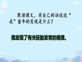 部编版《童年的发现》课件PPT