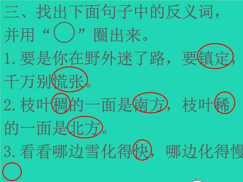 2022春二年级语文下册课文5课件 教案 素材打包29套新人教版04