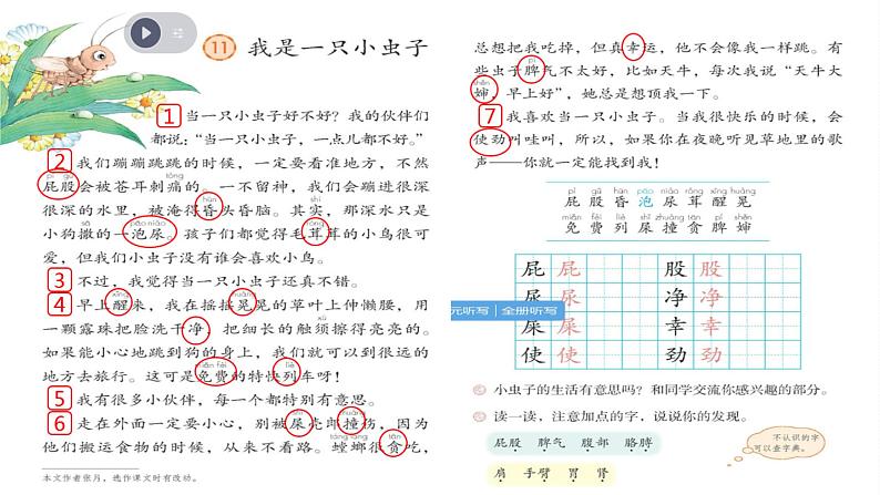 部编版《我是一只小虫子》PPT第6页