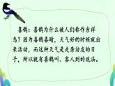 部编版《枫树上的喜鹊 》PPT