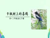 部编版《枫树上的喜鹊 》PPT