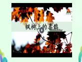 部编版《枫树上的喜鹊 》PPT