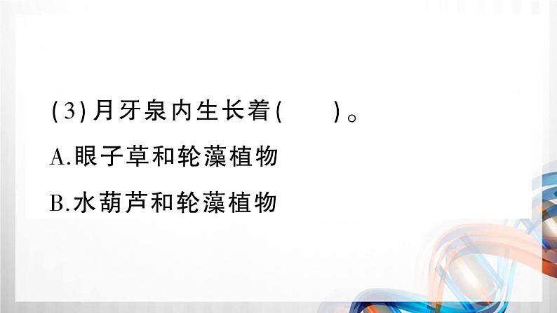 人教部编四年级语文下册（第八单元复习卡）课件第3页