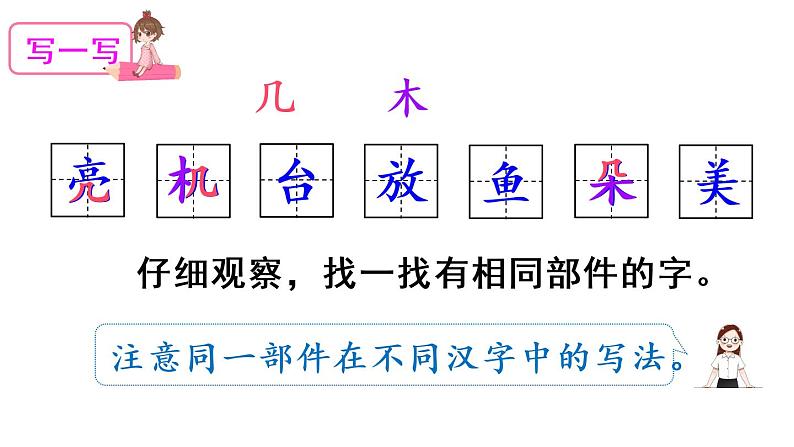 13 荷叶圆圆（课件）第5页