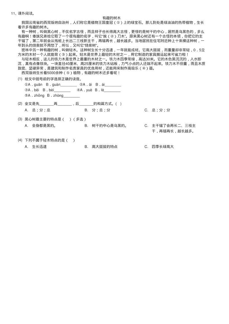 人教统编版三年级上学期语文第22课《父亲、树林和鸟》同步测03