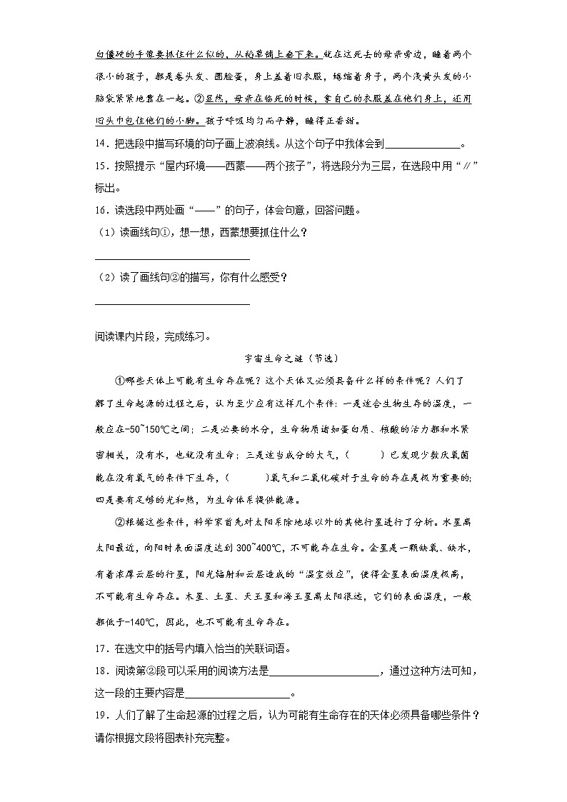 部编版语文六年级上期末综合复习试题（四）（含答案）第3页