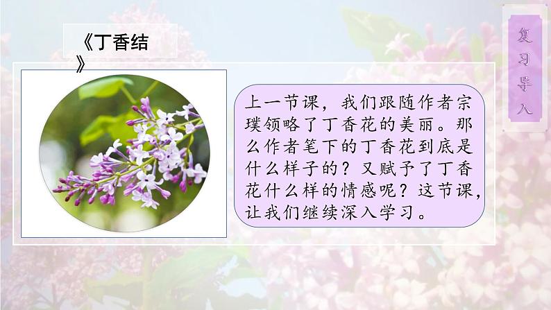 2《丁香结》第二课时课件+教案03