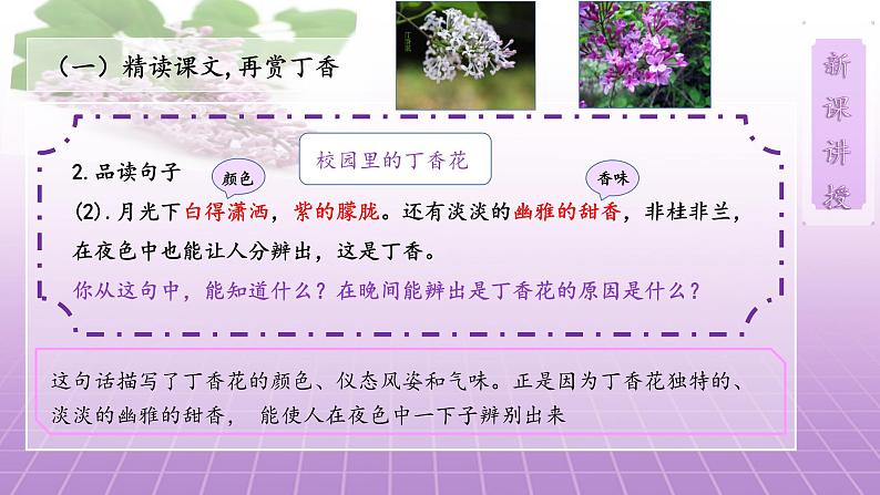 2《丁香结》第二课时课件+教案07