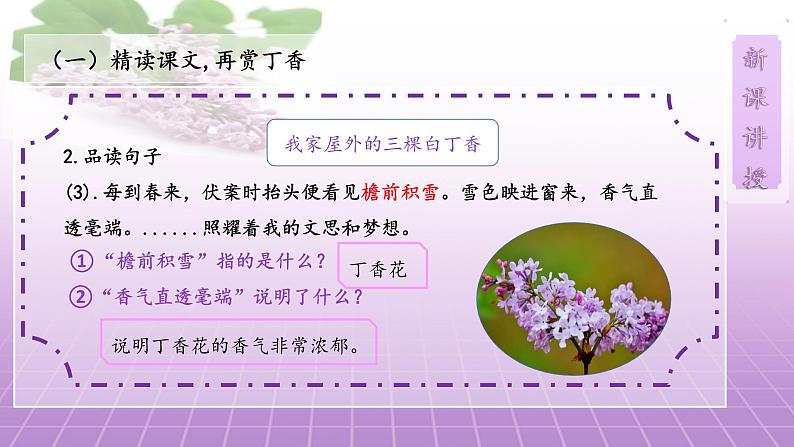 2《丁香结》第二课时课件+教案08