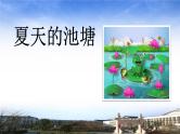 初级写话《夏天的池塘》课件PPT