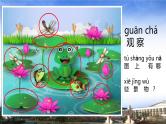初级写话《夏天的池塘》课件PPT