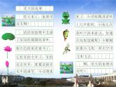 初级写话《夏天的池塘》课件PPT