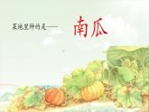 《小兔運(yùn)南瓜》課件+教案