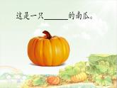 《小兔運(yùn)南瓜》課件+教案