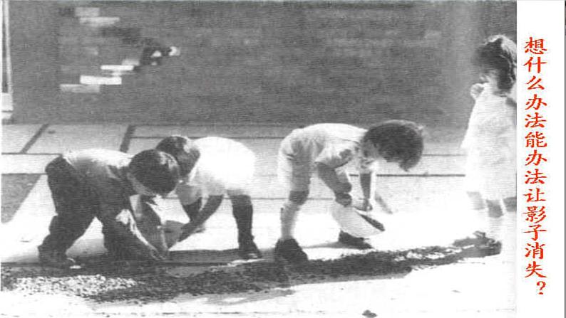 我和我的影子朋友2021第8页