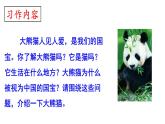 部编版三年级下册《习作七：国宝大熊猫》　课件