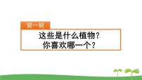 小学语文人教部编版三年级下册习作：我的植物朋友完美版ppt课件