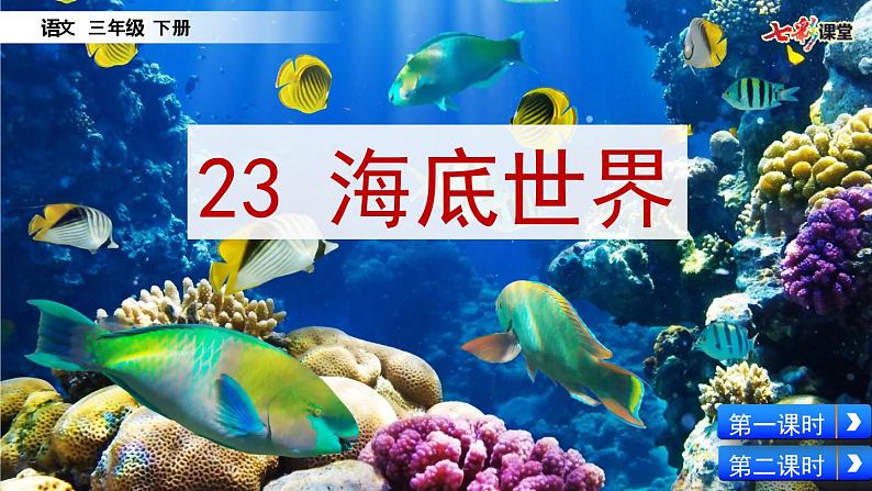 部编版三年级语文下册23 海底世界课件第2页