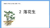 小学语文人教部编版五年级上册2 落花生说课课件ppt