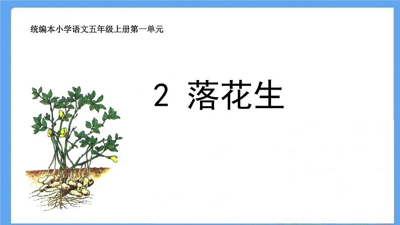 部编版语文五年级上册《2.落花生》课件PPT01