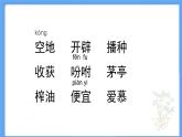 部编版语文五年级上册《2.落花生》课件PPT