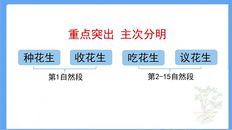 部编版语文五年级上册《2.落花生》课件PPT04