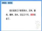 部编版语文五年级上册《2.落花生》课件PPT