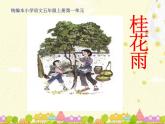 人教部编版语文五年级上册《3.桂花雨》课件PPT