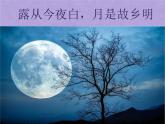 五上第五单元《月迹》教学课件