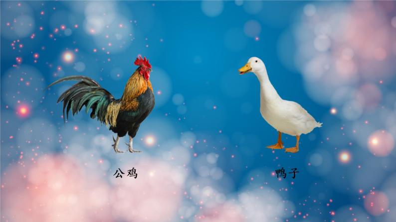 小公鸡和小鸭子  课件  部编版语文一年级下册03