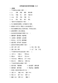 小升初复习 字音字形专项练（二）（试题）-2021-2022学年语文六年级下册（有答案）