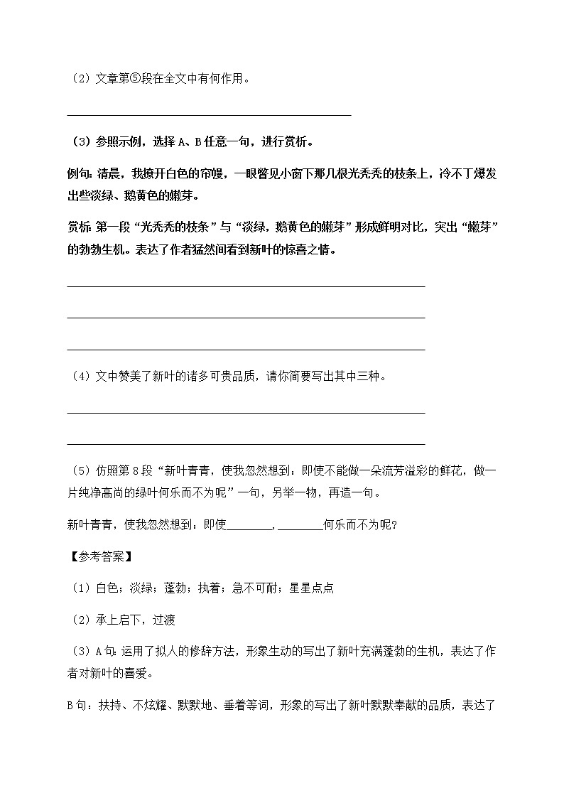 部编版五年级下册期末专题复习-现代文阅读（二）（含答案解析）第3页