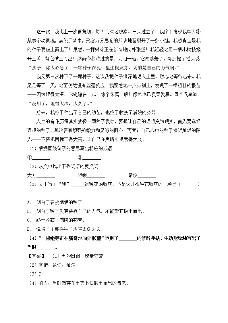 部编版五年级下册期末专题复习-现代文阅读（三）（含答案解析）第3页