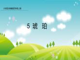 部编版四年级下册语文5 琥珀课件PPT