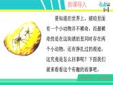 部编版四年级下册语文5 琥珀课件PPT