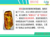部编版四年级下册语文5 琥珀课件PPT